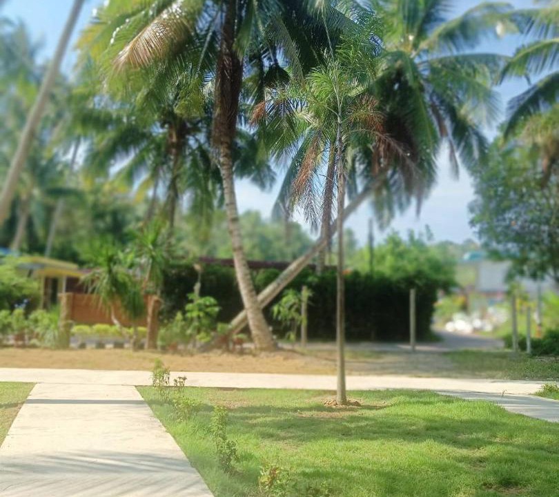 Photo of Others in Ko Mook