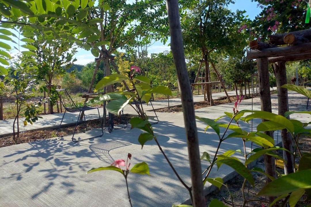 Photo of Others in Surin