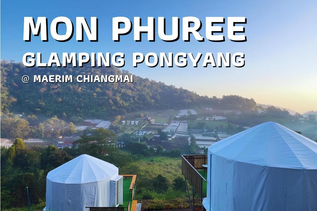 Photo of Others in Pong Yaeng