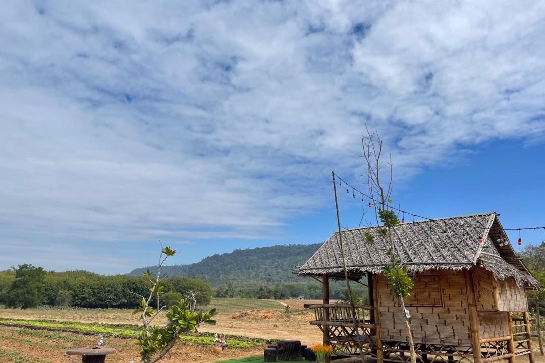 Photo of Others in Thai Samakkhi