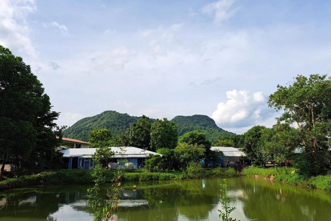 Photo of Others in Nakhon Nayok