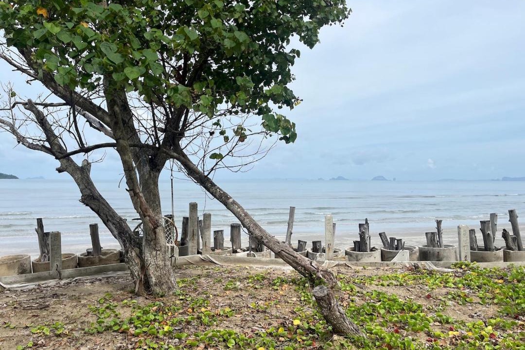 Photo of Others in Nuea Khlong