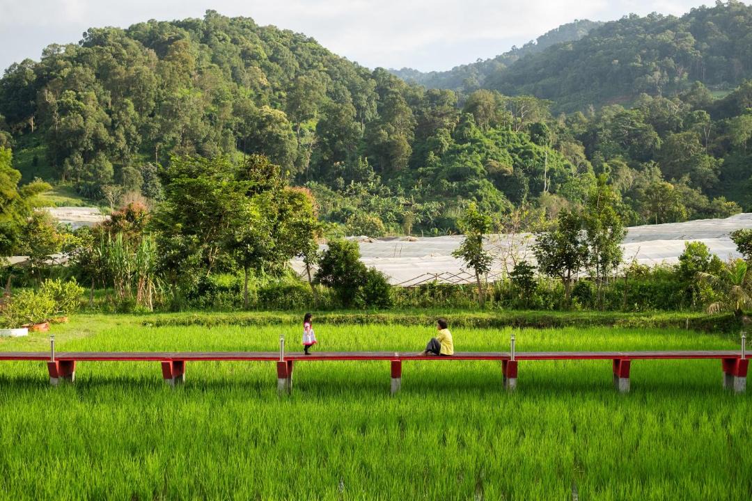 Photo of Others in Pong Yaeng