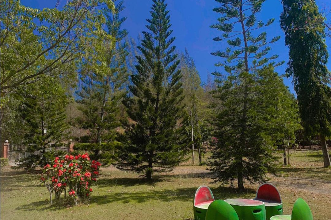 Photo of Outdoor in Suan Phueng