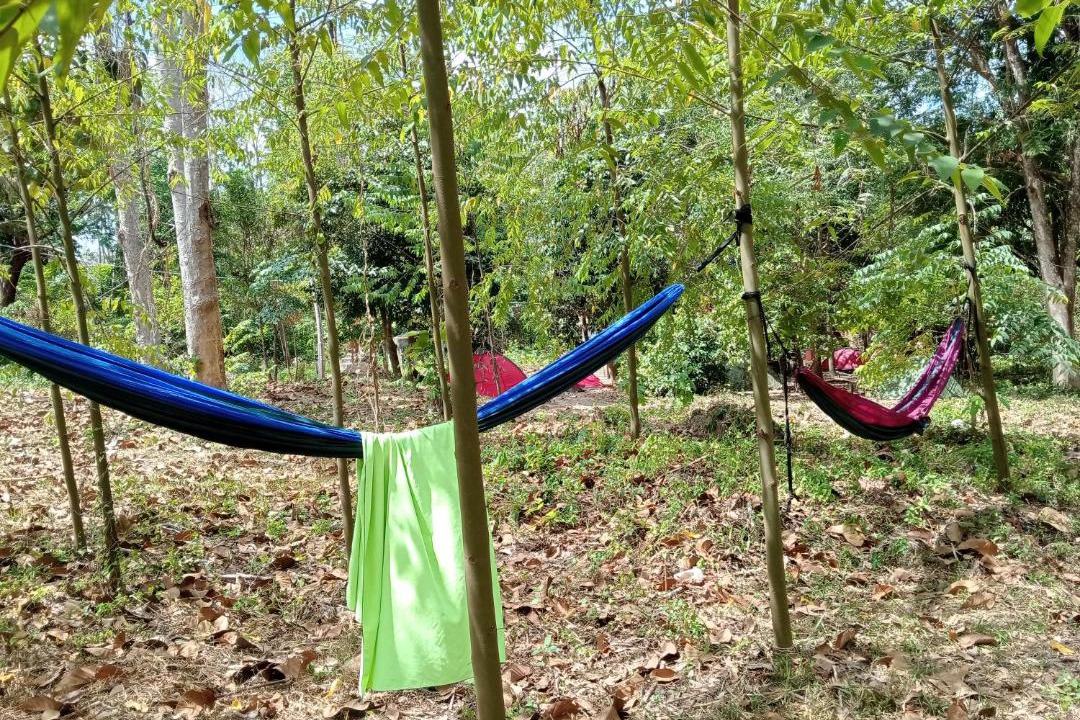 Photo of Outdoor in Nuea Khlong