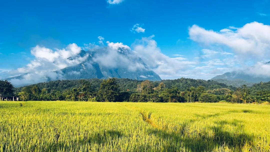 Photo of Others in Chiang Dao