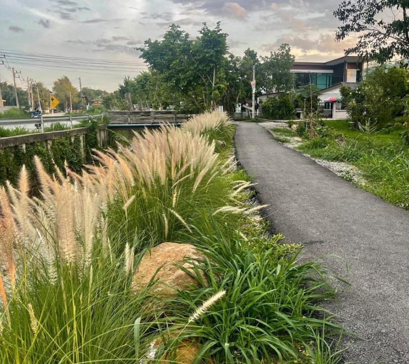 Photo of Outdoor in Don Kaeo