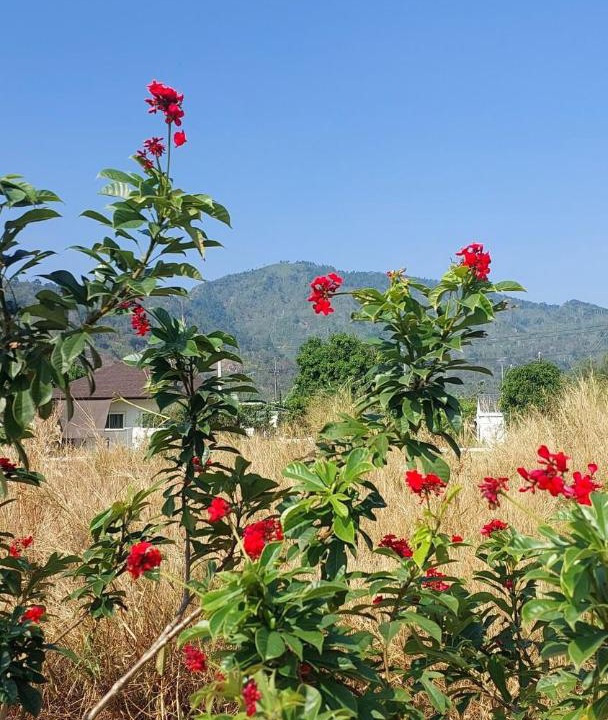 Photo of Outdoor in Nakhon Nayok