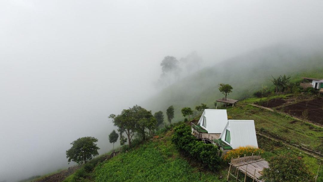 Photo of Others in Pai