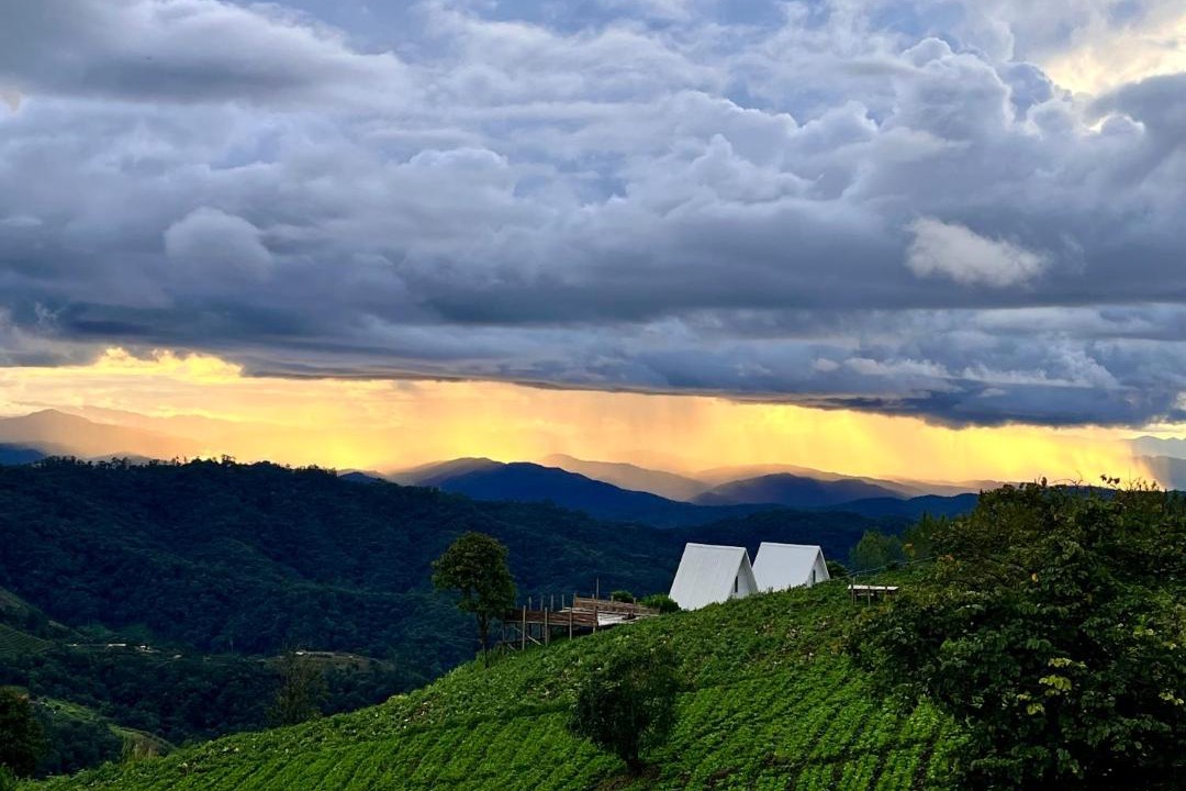 Photo of Others in Pai