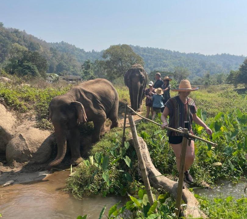 Photo of Others in Mae Taeng