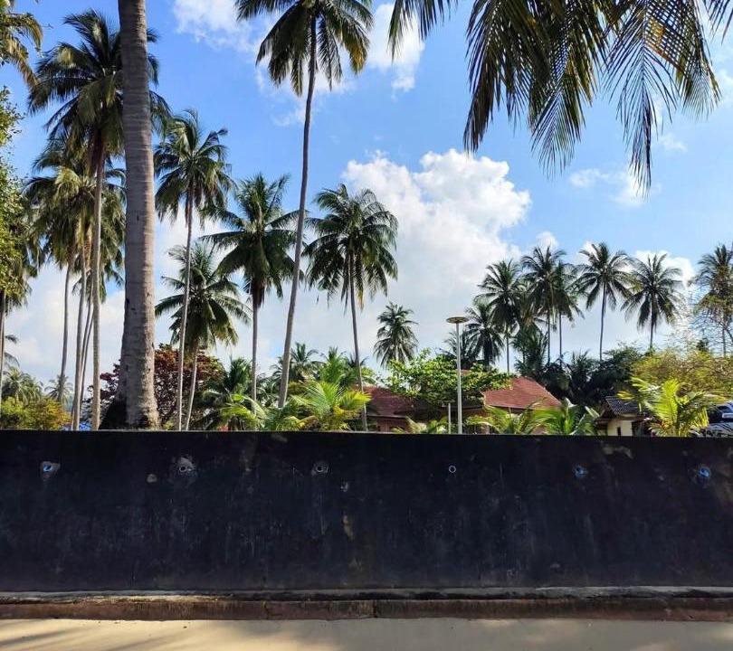 Photo of Others in Thong Krut