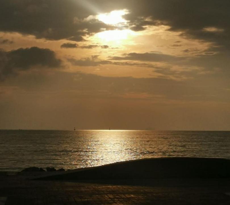 Photo of Others in Thong Krut