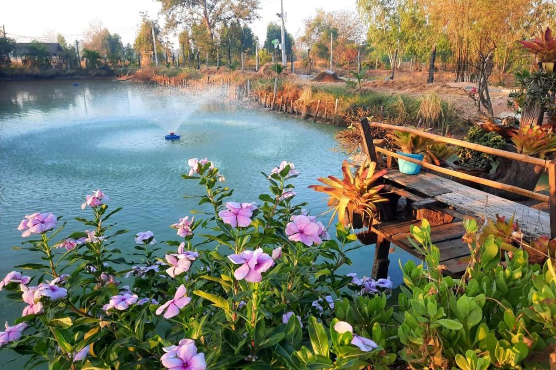 Photo of Others in Pra Thai