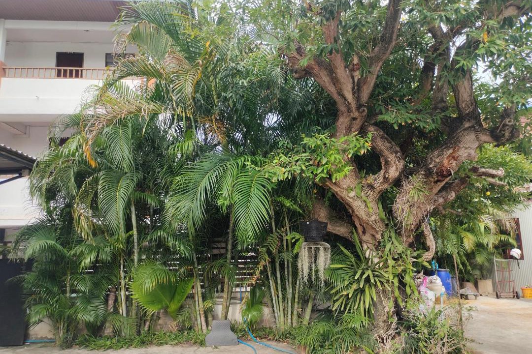 Photo of Others in Nakhon Ratchasima