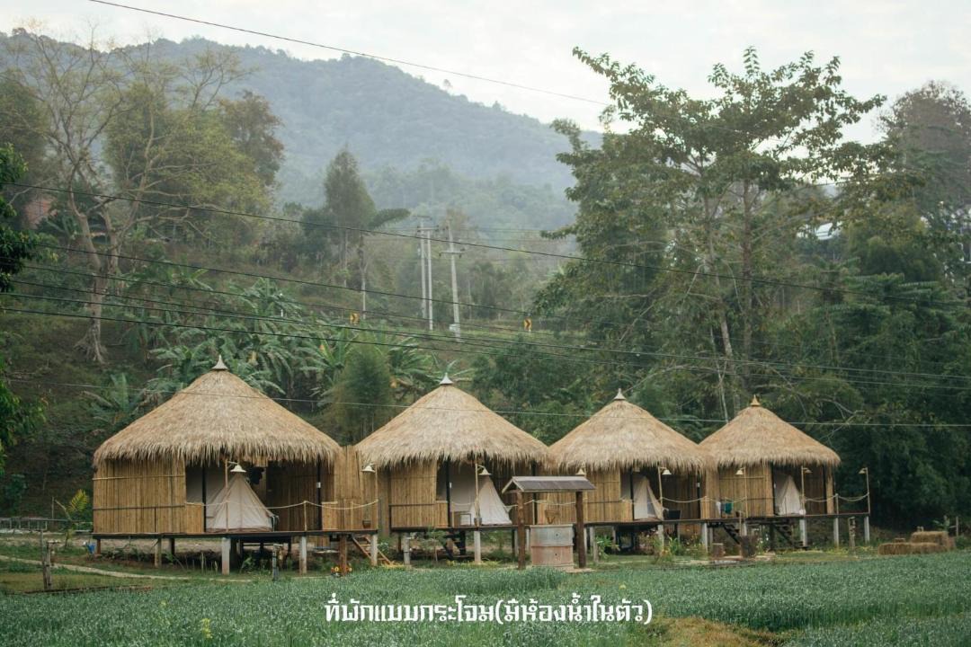 Photo of Others in Bo Kluea