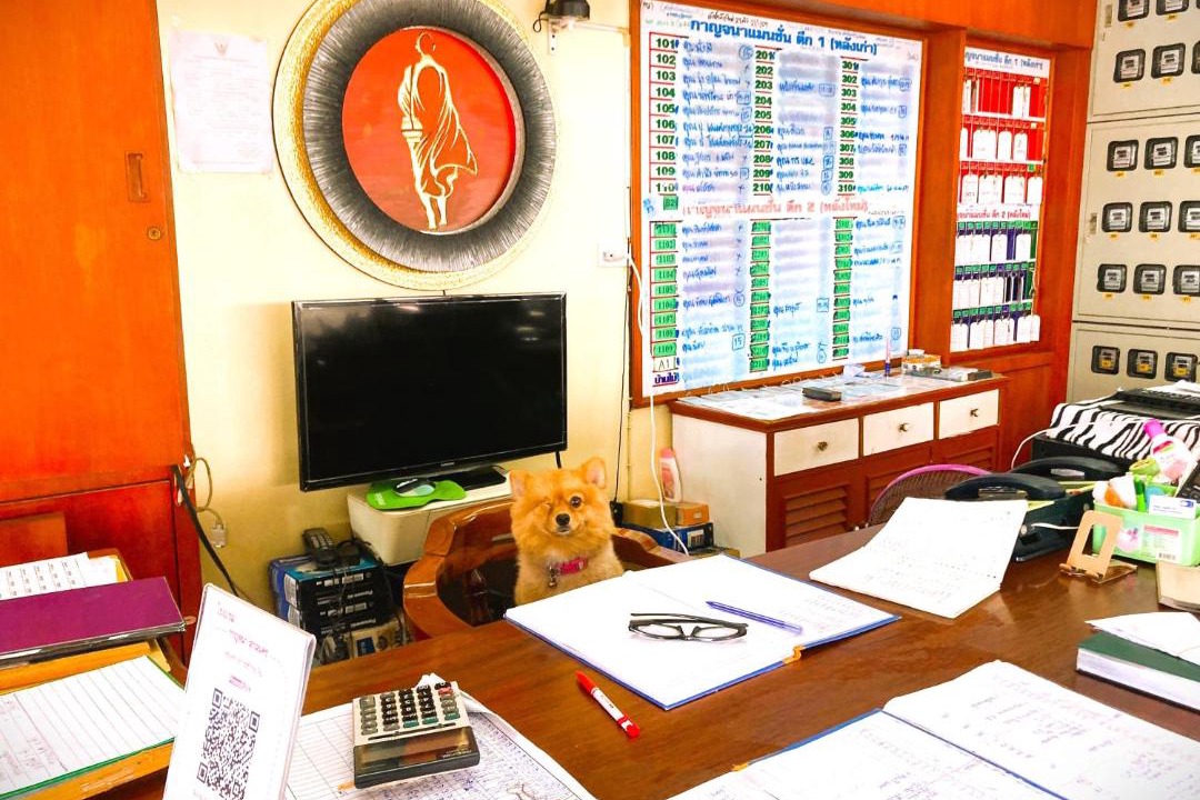 Photo of Others in Sakon Nakhon