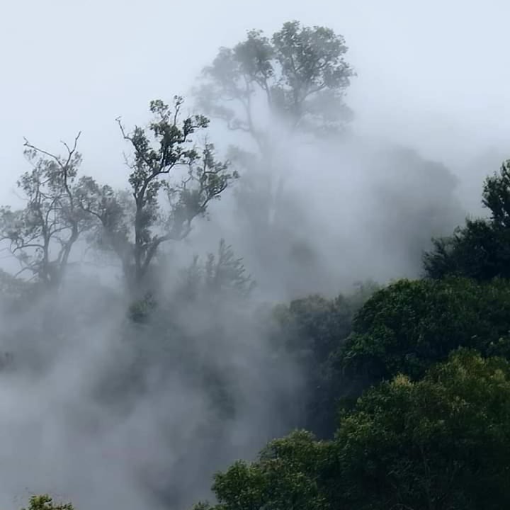 Photo of Others in Khao Kho