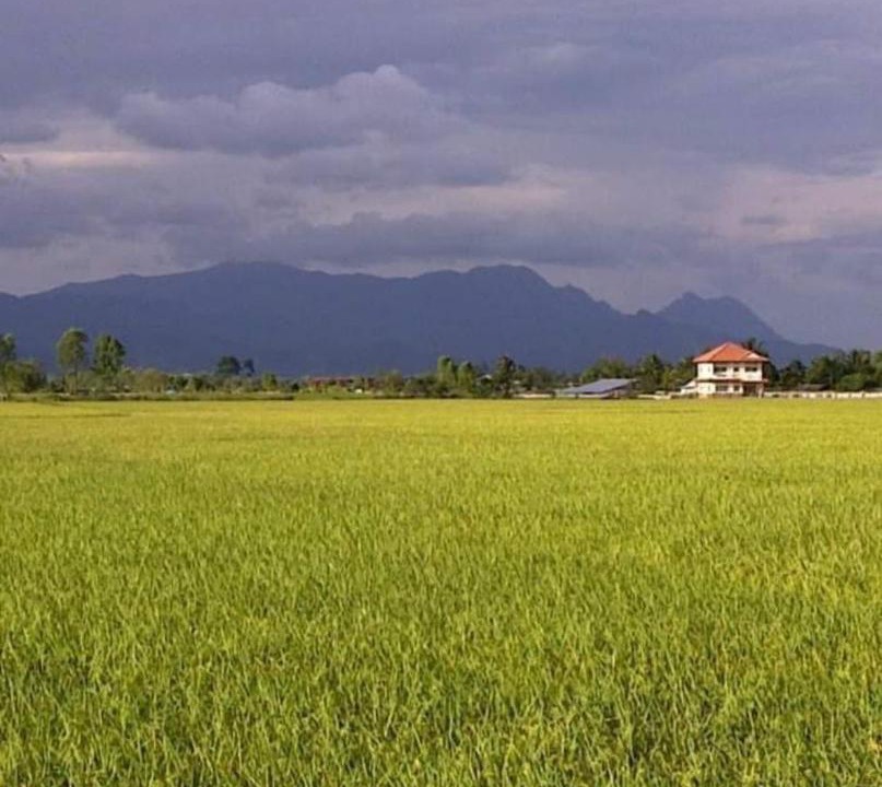 Photo of Others in Pa Tueng