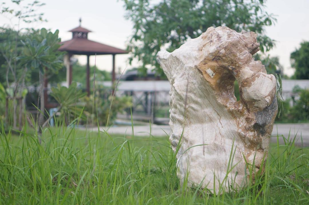 Photo of Others in Bang Kruai