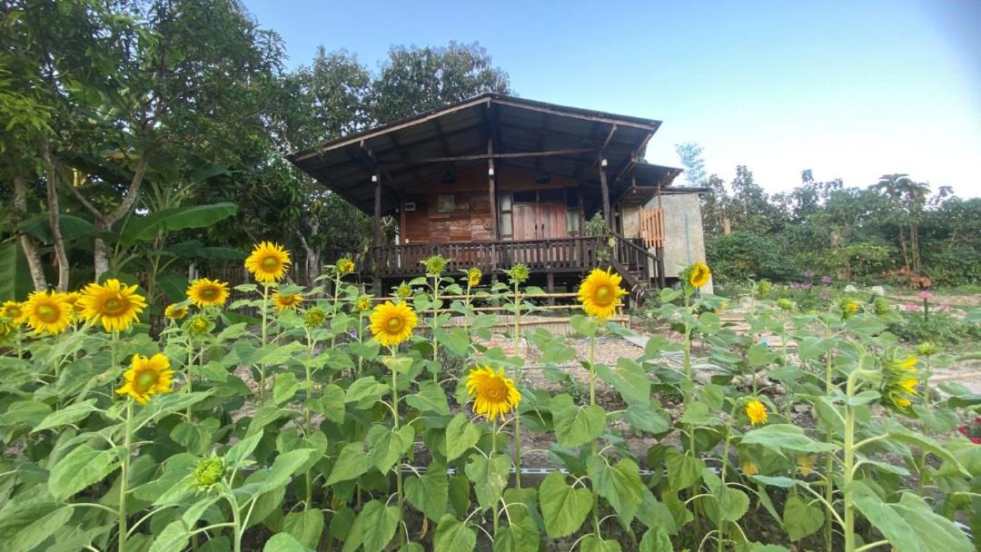 Photo of Buildings in Chiang Dao
