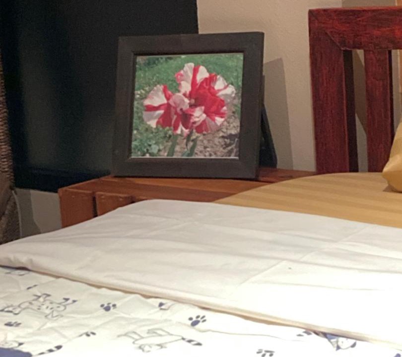 Photo of Bedroom in Hang Dong