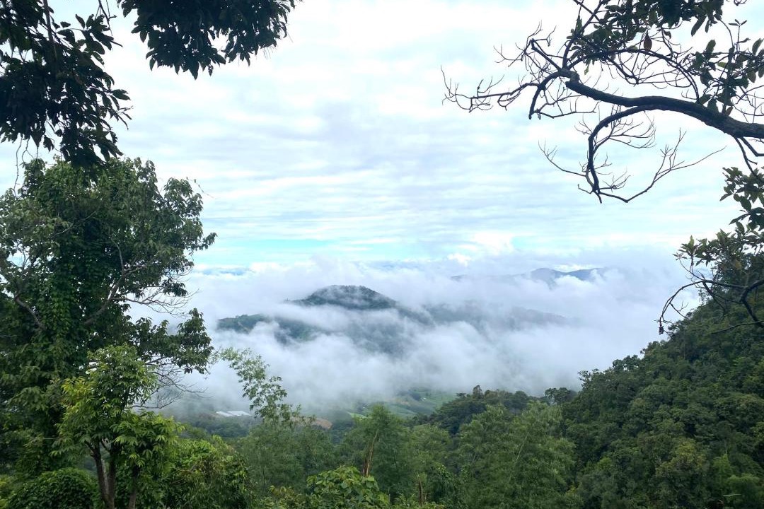 Photo of Others in Chiang Rai Province