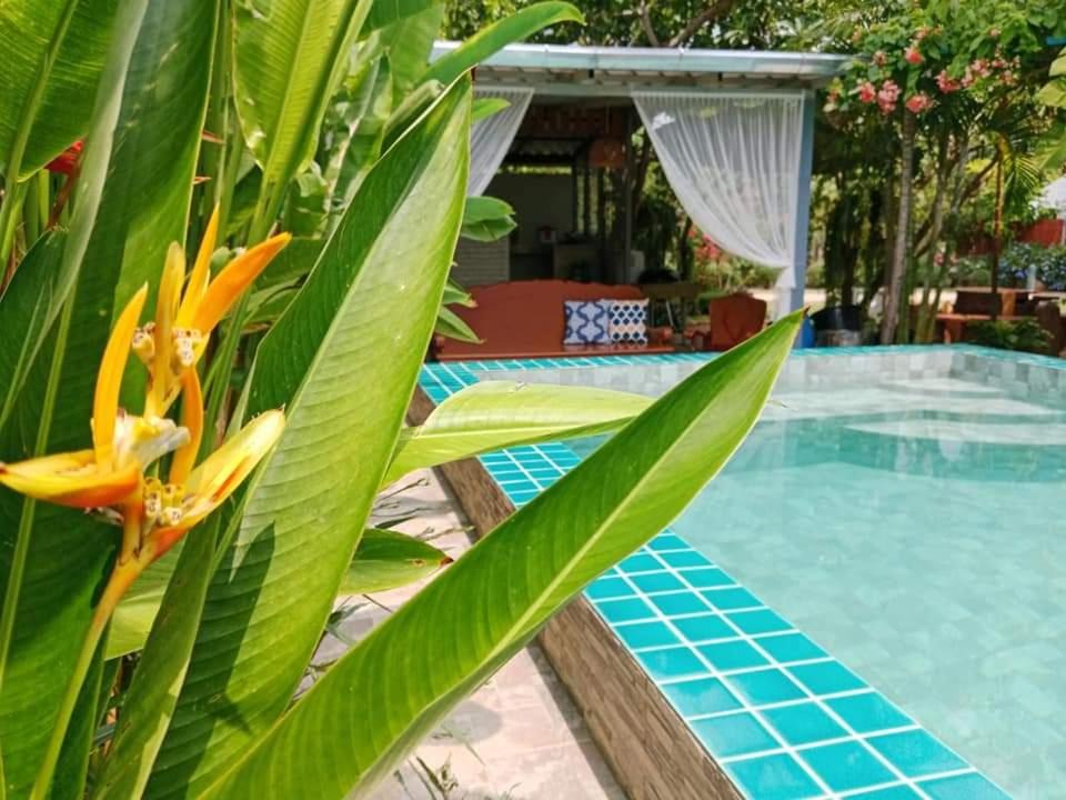 Photo of Outdoor in Sattahip