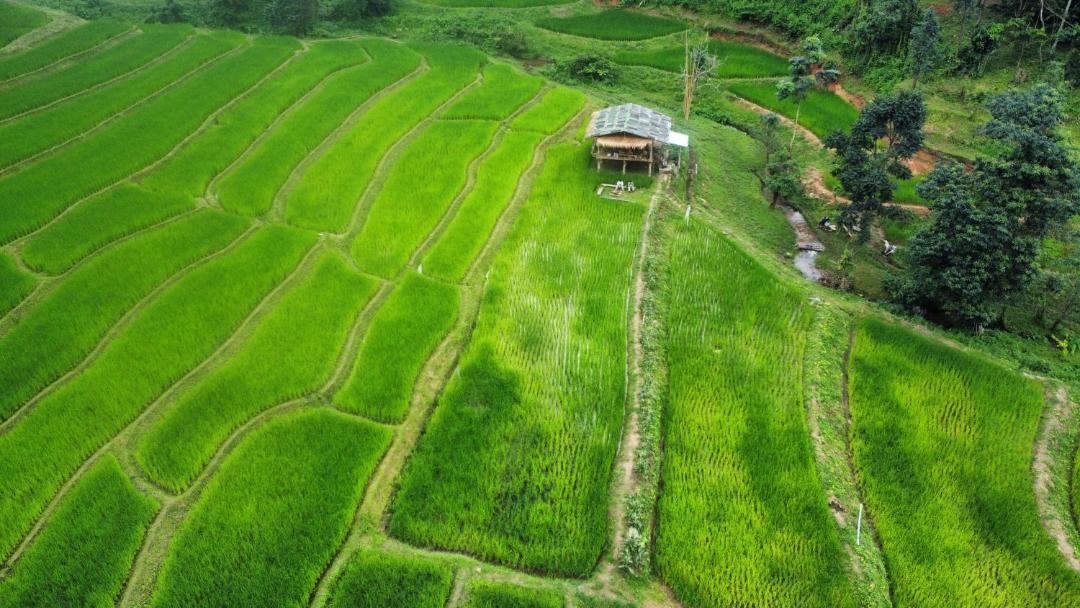 Photo of Others in Samoeng