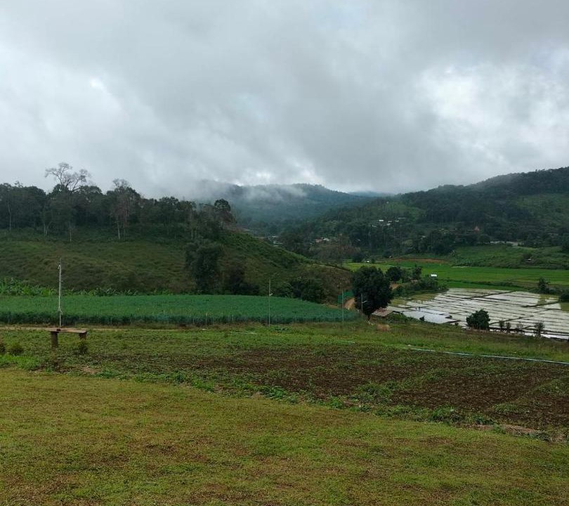 Photo of Others in Huai Makhuea Som