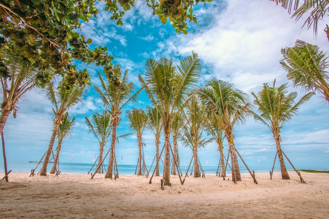 Photo of Others in Khanom