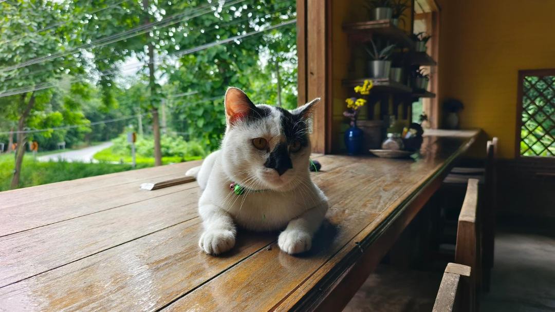 Photo of Others in Mueang Ngai