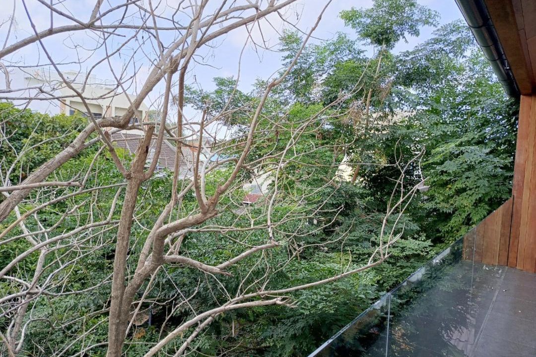 Photo of Others in Songkhla
