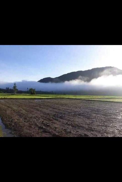 Photo of Others in Satun