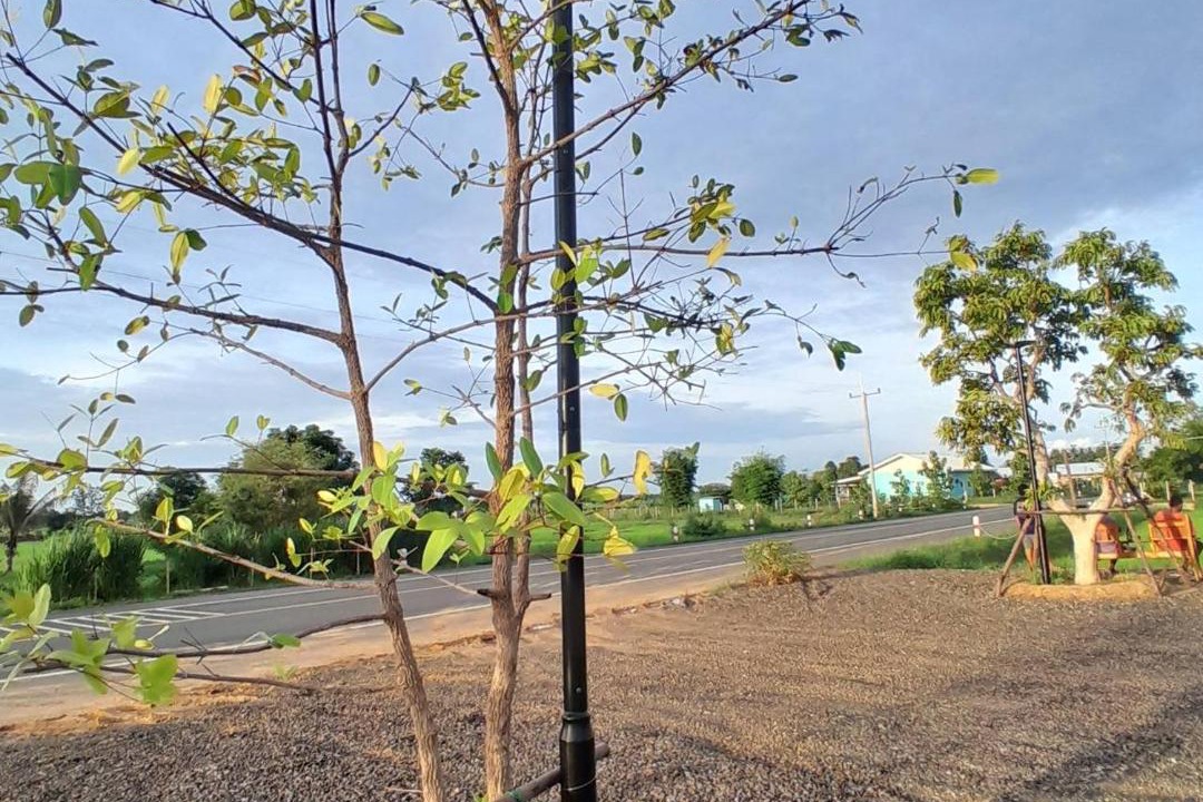 Photo of Outdoor in Buriram