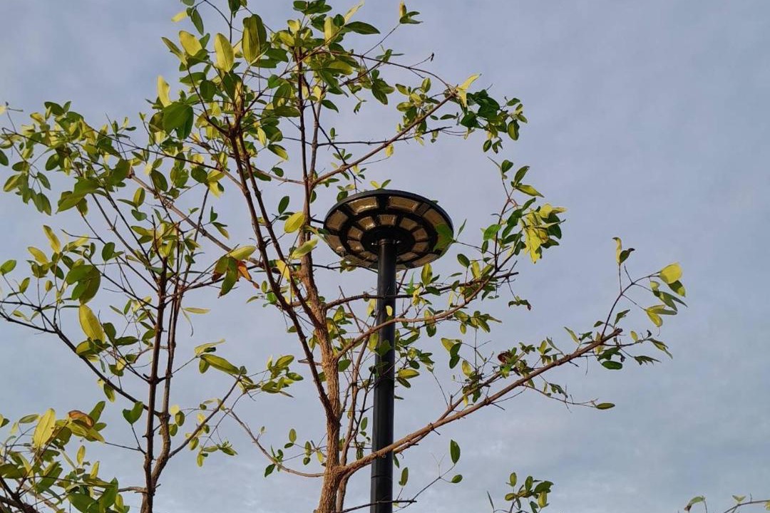 Photo of Outdoor in Buriram