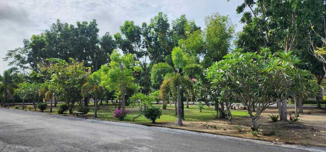 Photo of Outdoor in Nong Sarai