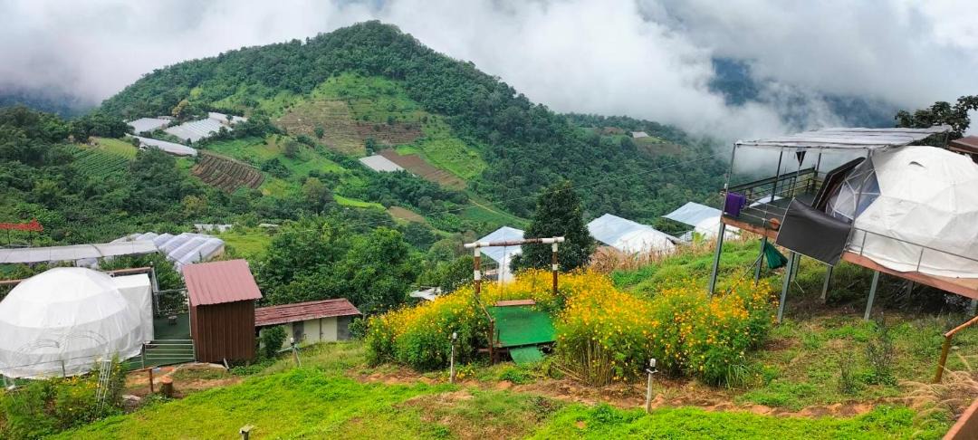 Photo of Others in Mae Rim