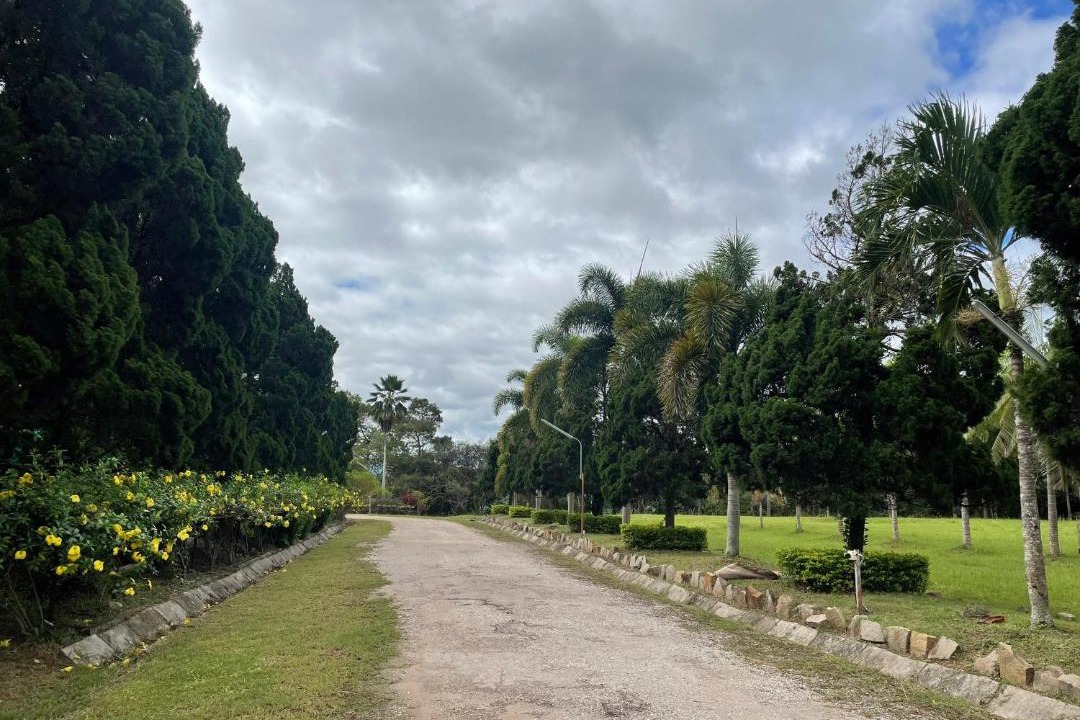 Photo of Outdoor in Dan Sai