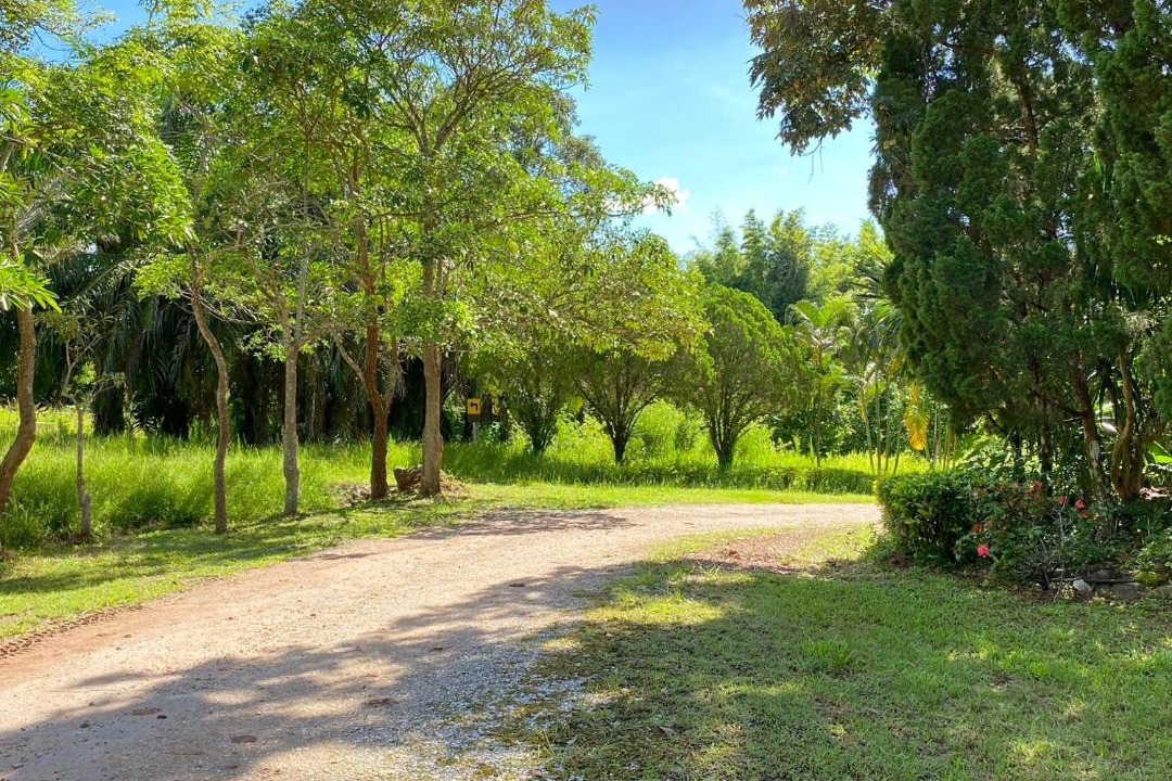 Photo of Outdoor in Dan Sai