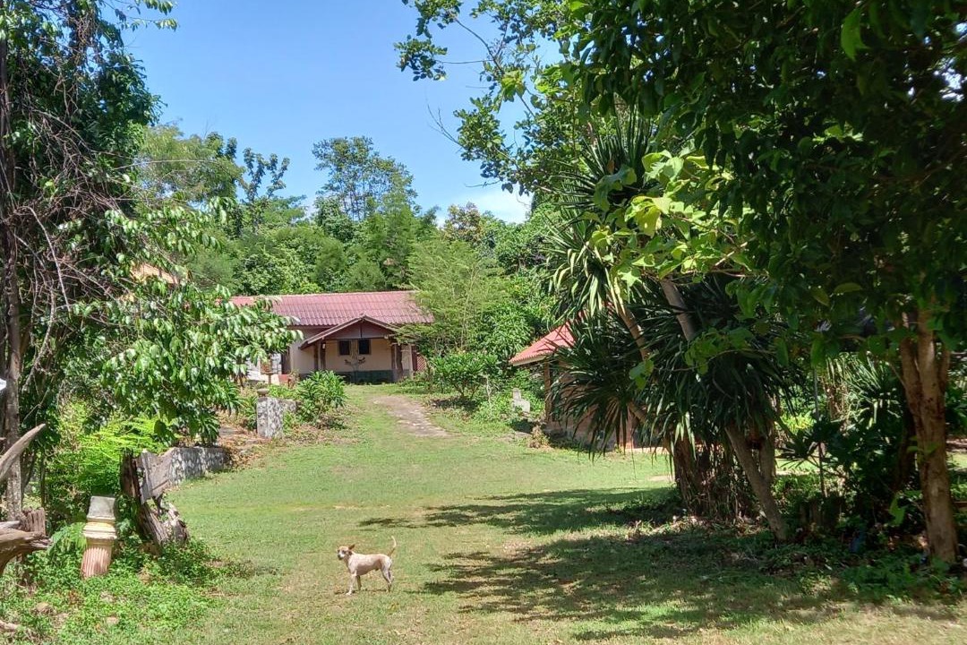 Photo of Others in Sai Yok