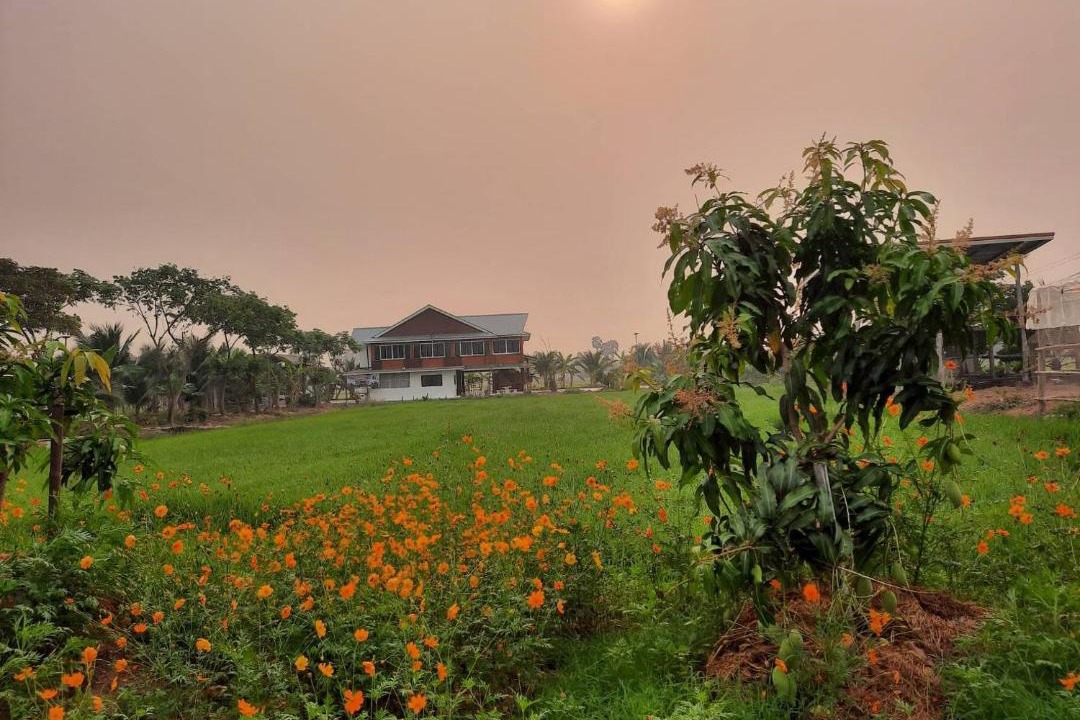 Photo of Others in Lampang