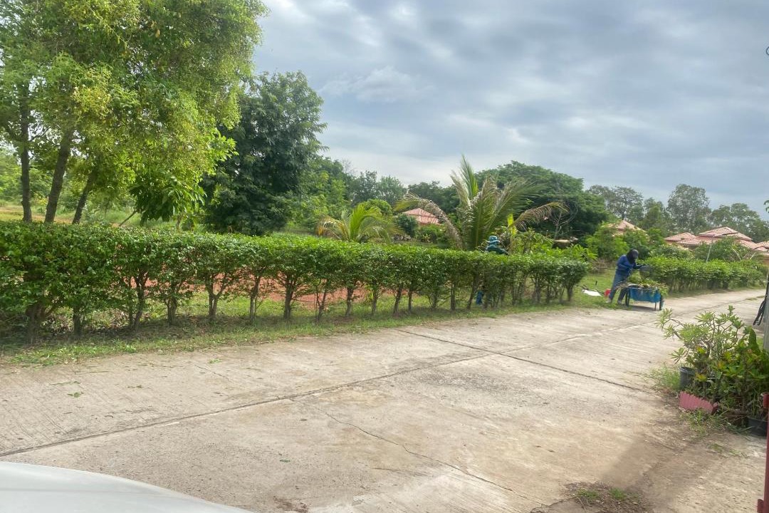 Photo of Others in Bua Yai