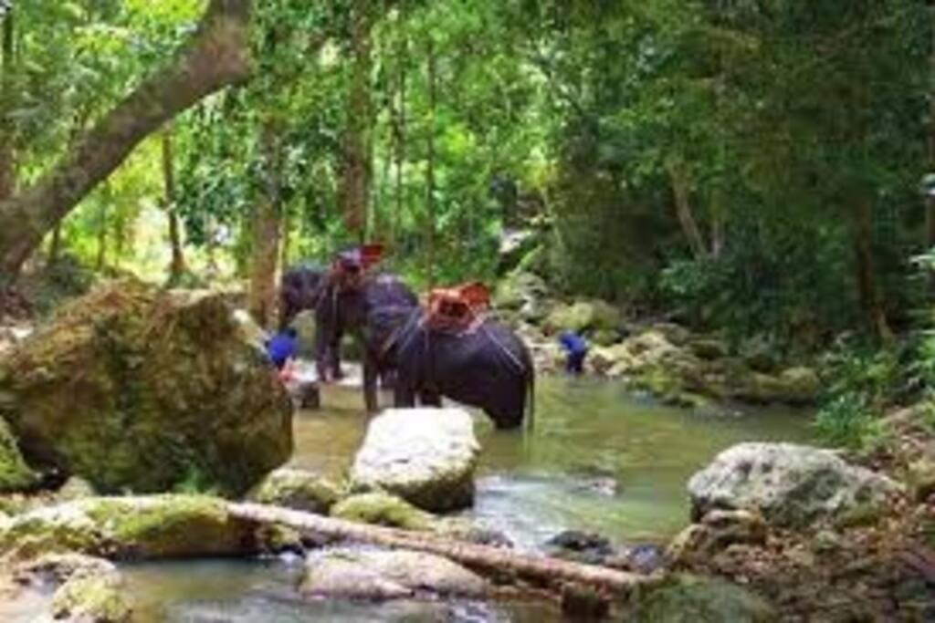 Photo of Human In Picture in Bophut Hills