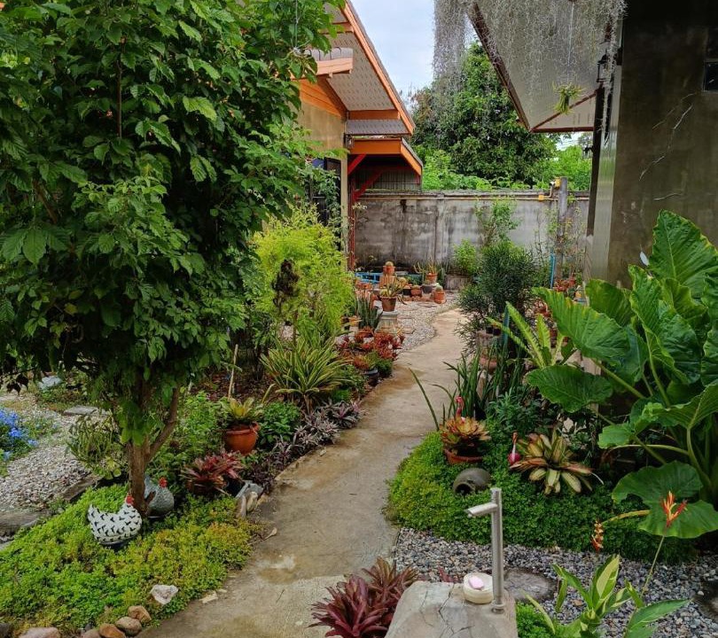 Photo of Buildings in Lampang