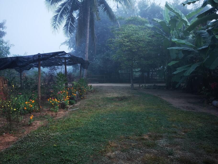 Photo of Others in Doi Tao