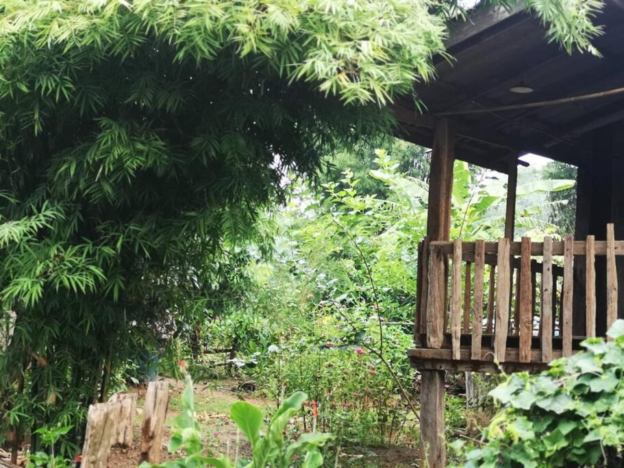 Photo of Others in Doi Tao
