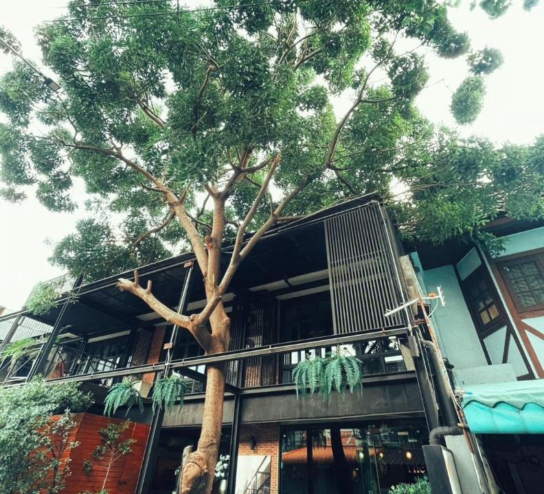 Photo of Others in Phlabphla