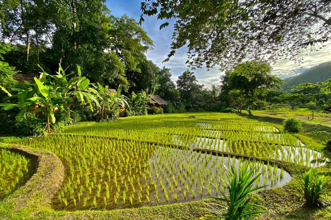 Photo of Others in Mae Hong Son