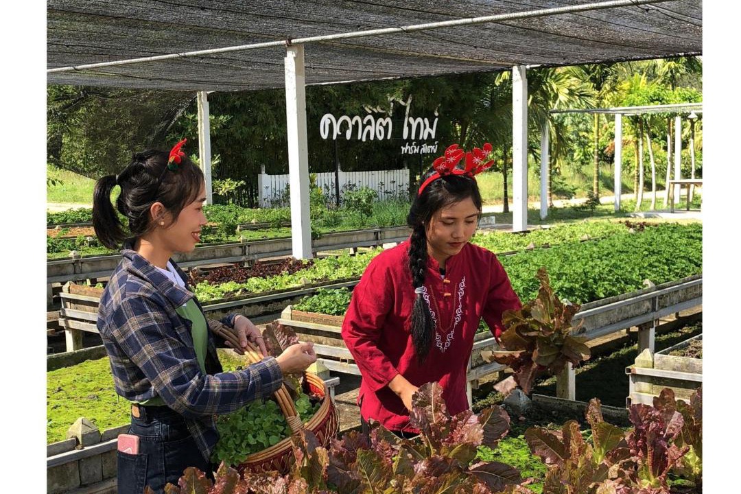 Photo of Others in Huai Sat Yai